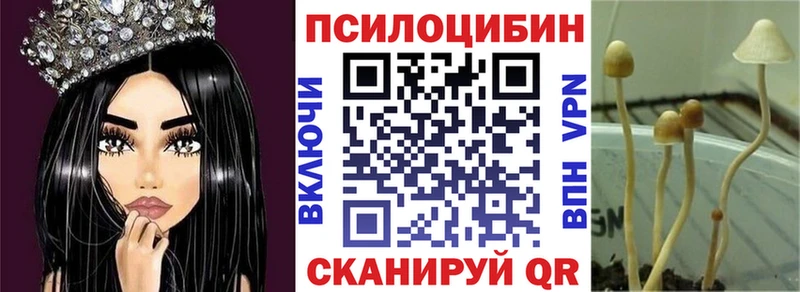 Псилоцибиновые грибы Psilocybine cubensis  Купить  Онега 