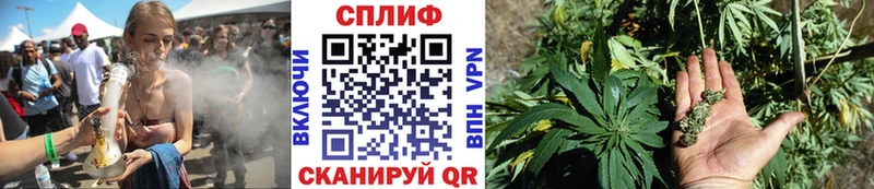 Купить закладки  Онега  Бошки марихуана гибрид 